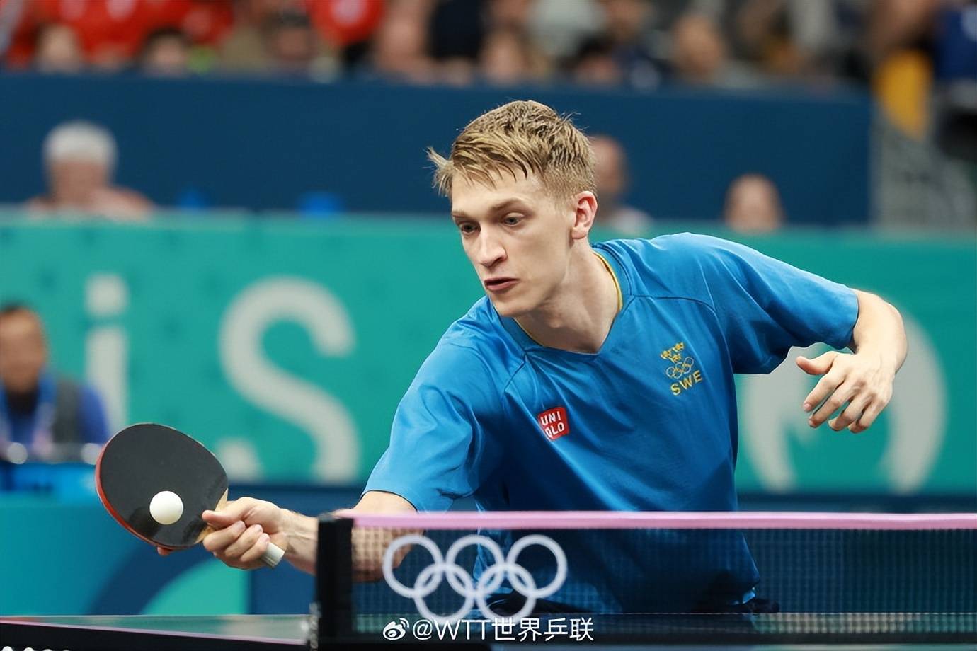 波兰队轻取德国队，波尔带队取胜