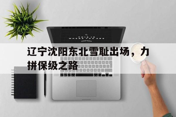 辽宁沈阳东北雪耻出场，力拼保级之路的简单介绍
